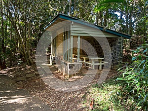 Picnic shelter covered seating area in a public rainforest park