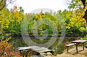 Picnic on the shore of autumnal forest lake