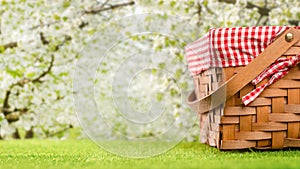 Picnic and summer mood. Basket for picnic, on green grass, lawn. Against the background of the landscape. Concept of weekend and