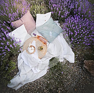 Picnic at sunset in the lavender field.Rose wine and cheese.