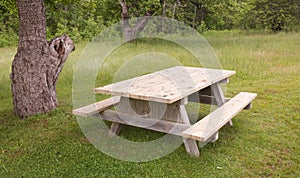 Picnic Table