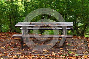 Picnic table in autumn