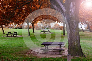 picnic table in autumn park