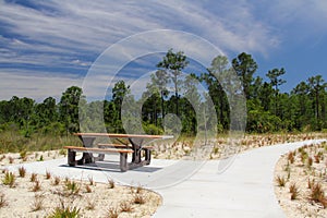 Picnic Table in Big Cypress