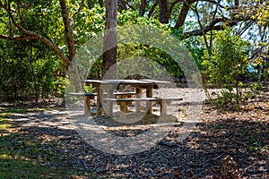 Picnic Table In A Bush Environment