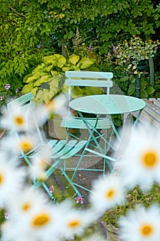 Picnic table and chairs in a lush garden at a peaceful park or tranquil courtyard surrounded by daisy flowers outdoors