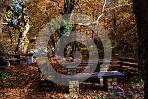 Picnic table covered with leaves in the forest