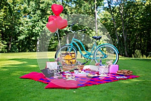 Picnic table and decor at bachelorette party on the nature