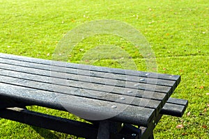 Picnic table details