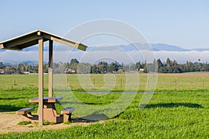 Picnic table and green grass meadow; lingering fog in the background, Coyote Lake - Harvey Bear Park, Morgan Hill, California