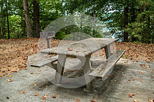 Picnic table and grill