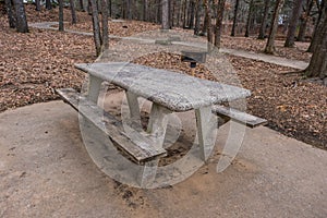 Picnic table and grill area