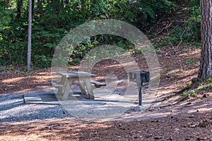 Picnic table and grill in the woodlands