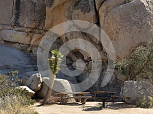 Picnic table, Joshua Tree National Park