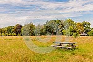 Picnic table in the middle of the field in a public park with yellowish green grass with abundant trees