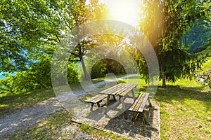 Picnic table next to a path in a forest, summer setting, sunflare effect