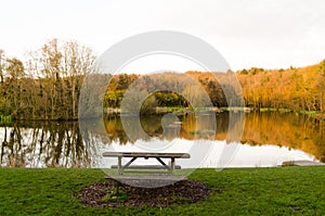 A Picnic Table Overlooking Pattinson South Pond, Washington, Tyne photo