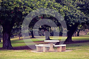 Picnic table in park