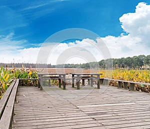 Picnic table in a picturesque nature waterfront setting