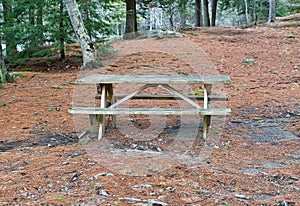 Picnic table in reclusive park setting