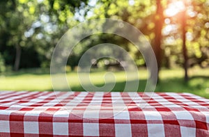 Red Gingham Picnic Tablecloth