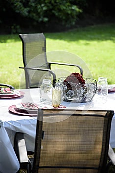 Picnic Table Setting in Backyard in Summer