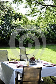 Picnic Table Setting in Backyard in Summer