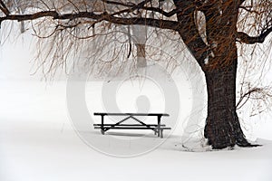 Picnic table in snow under a winter tree