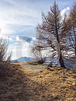 Picnic table at sunset in the alps