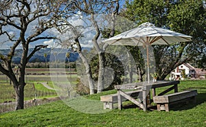 Picnic Table with View of California Vineyard