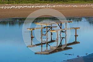 Picnic Table in Water at Beach