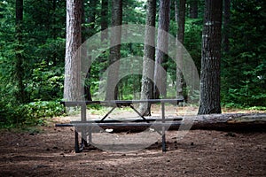 Picnic table in the wilderness