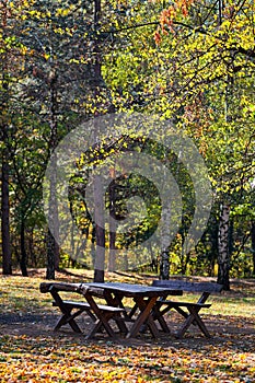 Picnic table in Zvezdara forest park in Belgrade, Serbia, with autumn foliage