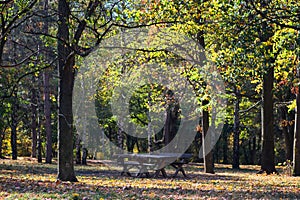 Picnic table in Zvezdara forest park in Belgrade, Serbia, with autumn foliage