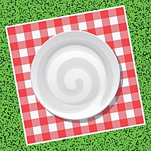 vector picnic tablecloth and empty plate