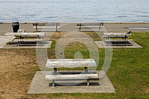 Picnic Tables