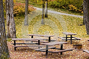 Picnic tables