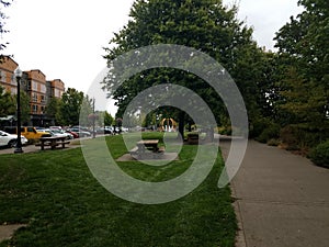 Picnic tables and green grass in park in Corvallis, Oregon