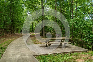 Picnic tables and grills at the park
