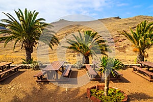 Picnic tables in palm tree oasis in desert landscape on trekking trail at Punta de Sao Lourenco peninsula, Madeira island,