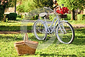 Picnic time. Nature cycling tour. Rent bike to explore city. Retro bicycle with picnic basket. Bike rental shops