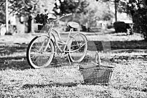 Picnic time. Nature cycling tour. Retro bicycle with picnic basket. Bike rental shops primarily serve typically