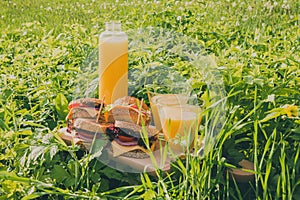 Picnic with toasted sandwiches and two glasses of orange juice on green grass in summer sunny day.