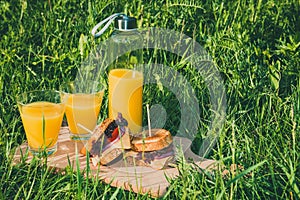 Picnic with toasted sandwiches and two glasses of orange juice on green grass in summer sunny day.