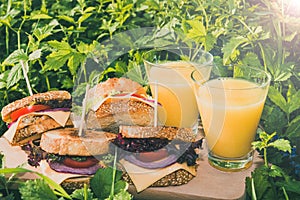 Picnic with toasted sandwiches and two glasses of orange juice on a green grass in summer sunny day. Closeup view