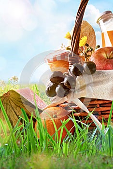 Picnic wicker basket with food on grass in field vertical