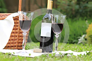 Picnic with wine