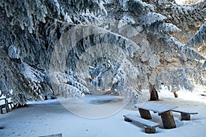 Picnic during winter season, Bulgaria