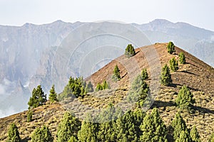 Pico Birigoyo Summit, La Palma, Spain photo