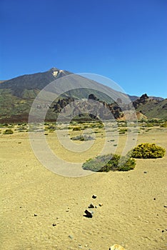 Pico del Teide - vertical